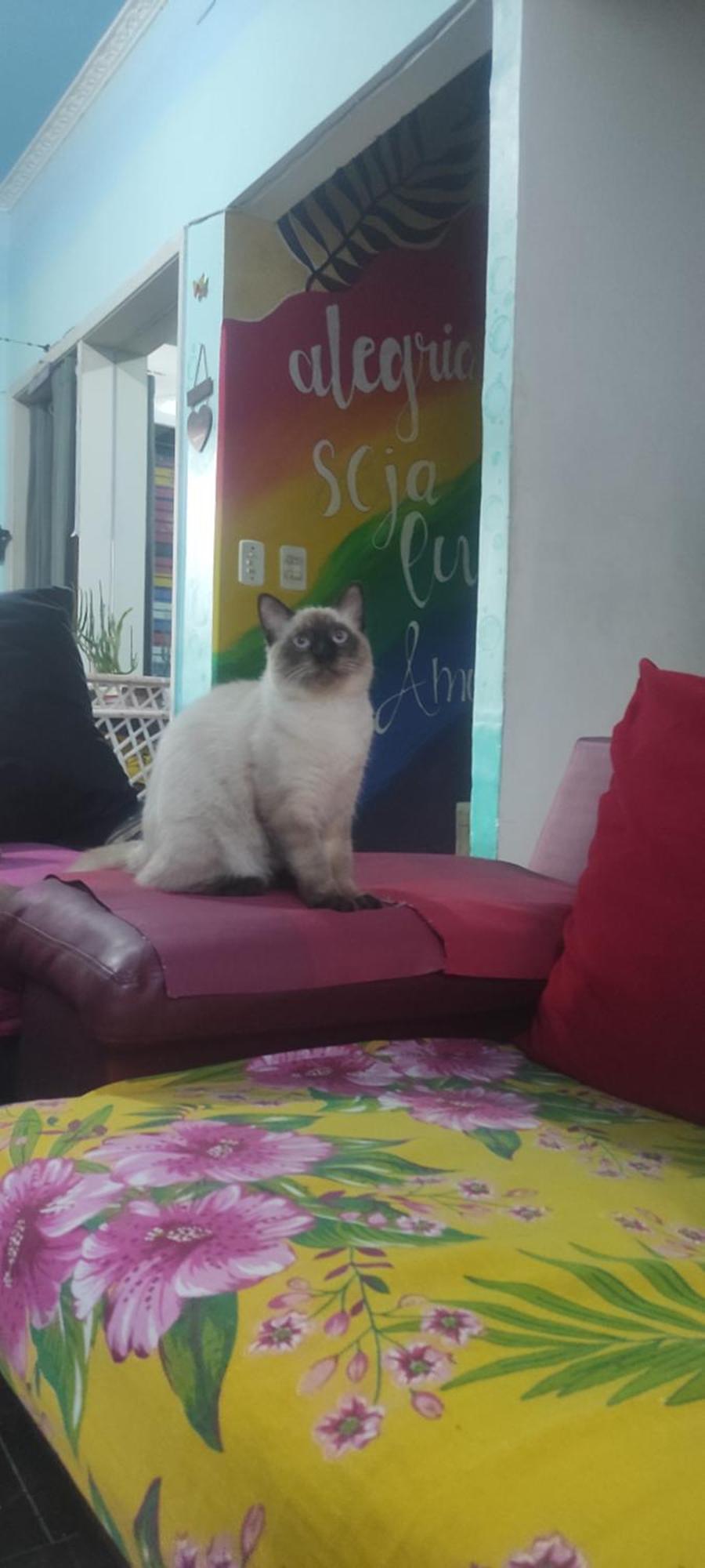 Lord Hostel Salvador da Bahia Dış mekan fotoğraf