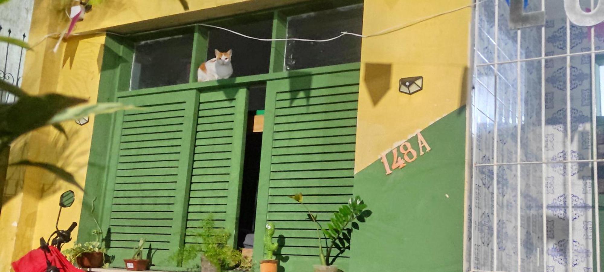 Lord Hostel Salvador da Bahia Dış mekan fotoğraf
