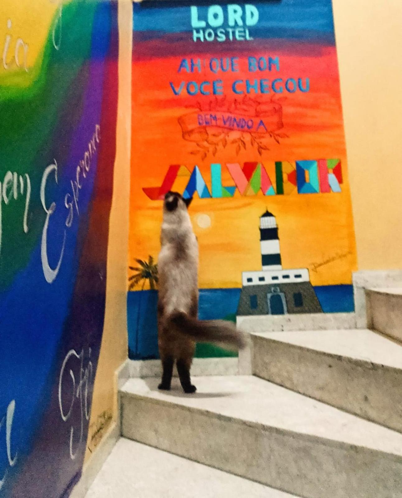 Lord Hostel Salvador da Bahia Dış mekan fotoğraf
